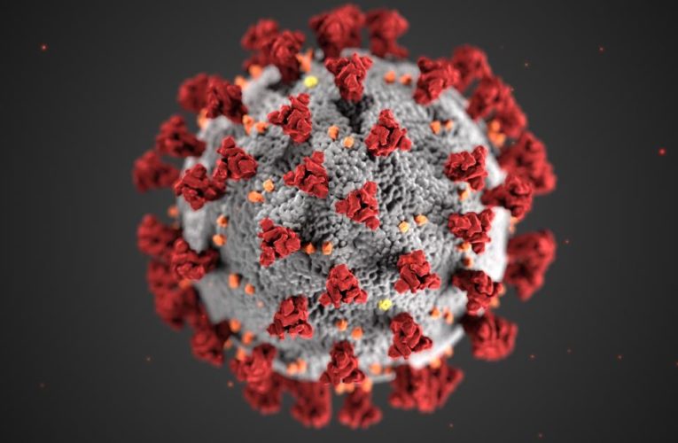 Norway relaxes some coronavirus restrictions