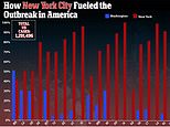 New York City was the source of US outbreak, data shows