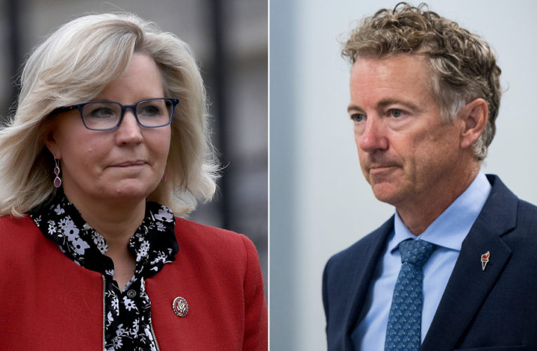 Rand Paul on Liz Cheney: ‘I don’t think she’s good for the country’