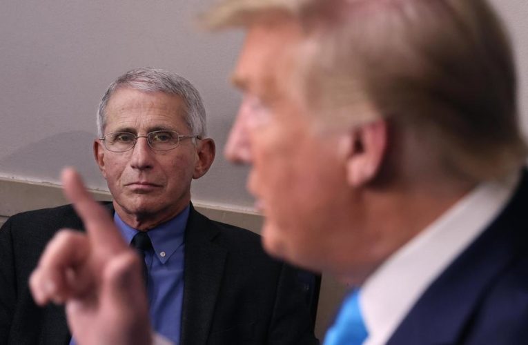 Fauci says he has not thought about resigning: ‘I just want to do my job’