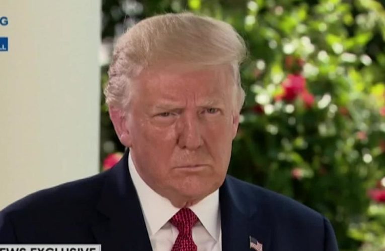 Trump gets upset with reporter when asked about police killing Black Americans