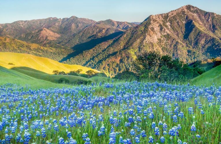 After 250 years, Native American tribe regains ownership of Big Sur ancestral lands