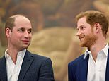 William and Harry agree to split Diana memorial fund