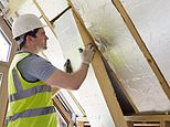 Mini Budget 2020: £3bn drive for ‘green’ buildings and 140k jobs