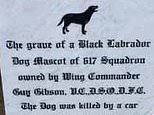 Gravestone to Dambuster hero’s beloved black Labrador ‘N*****’ REPLACED by the RAF after review