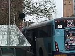 Incredible moment daring skateboarder jumps off an 11-foot-tall Sydney bus in amazing TikTok stunt