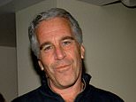 EDWARD JAY EPSTEIN investigates seemingly unsolvable mystery of how Jeffrey Epstein made his fortune