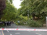 Falling tree crushes three pedestrians in east London