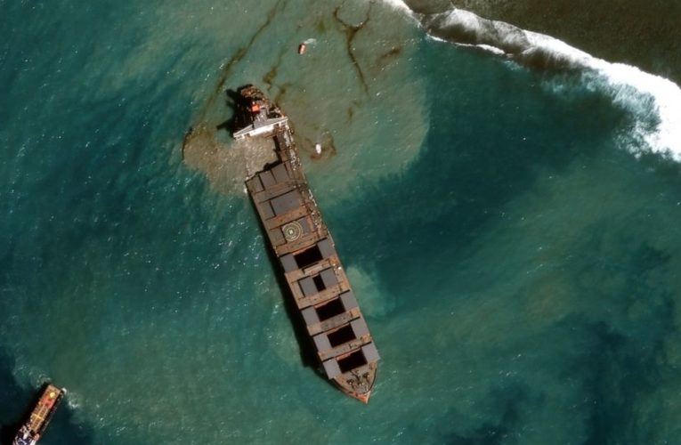 Protest in Mauritius over oil spill, dozens of dead dolphins