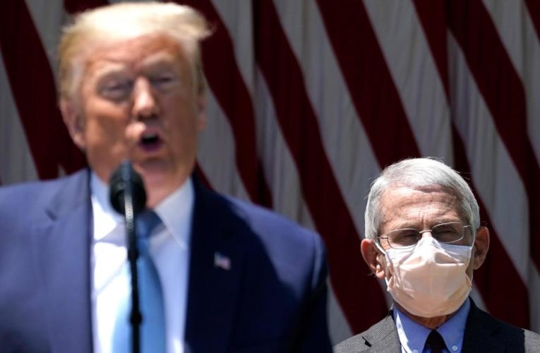 As a newcomer adviser eclipses Dr. Fauci in influence, the President and his aides are resigned to the virus’ inevitable spread