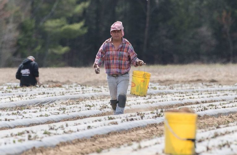 Pandemic brings hard times for farmers, worsening hunger