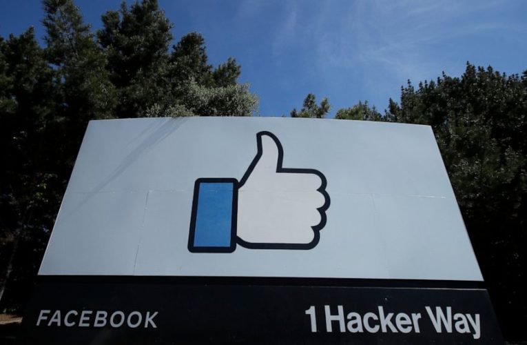 Facebook axes small Russian troll network ahead of election