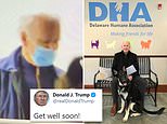 Trump tells Biden to ‘get well soon’ after he fractured foot while playing with his dog Major