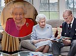 The Queen wears wedding gift Golden Trellis brooch for video call