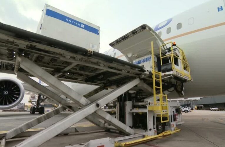 See how airlines are preparing to transport vaccine