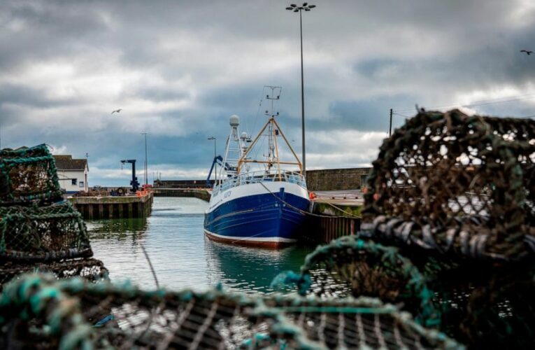 Fishing holds key to Brexit trade deal as talks drag on