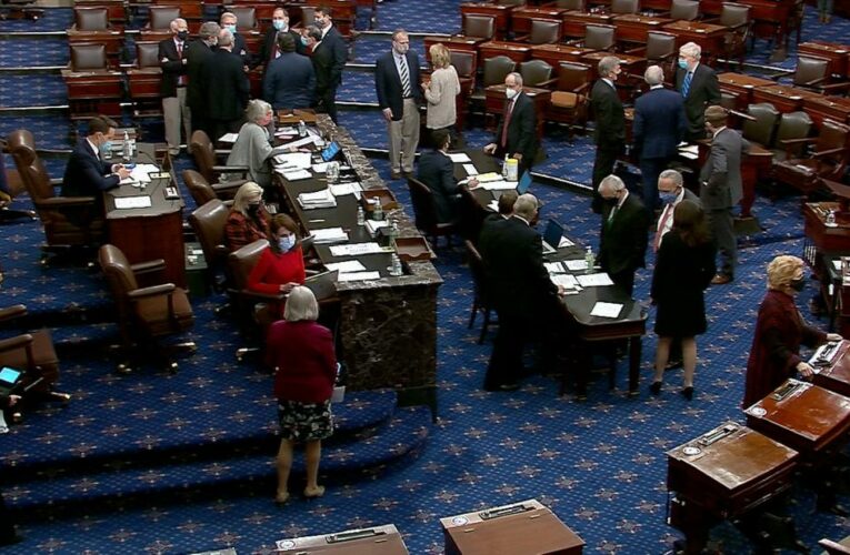 Members voted to deliver a bipartisan rebuke to the President in his final days in office