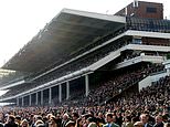 Owners set to be barred from the Cheltenham Festival next month due to Covid restrictions  