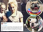 Lady Gaga praises ‘hero’ dog walker who ‘risked his life to fight’ when her dogs were stolen