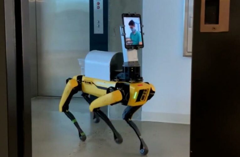 Robotic dog works wonders in ER in age of Covid-19