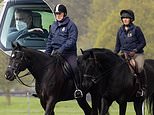 Prince Andrew rides horse in Windsor amid fresh pressure for him to speak to FBI