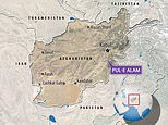 At least 30 killed and 60 injured as car bomb explodes ‘outside hospital’ in Afghanistan