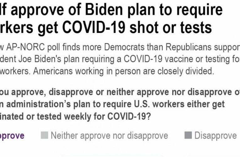 Biden vaccine mandate splits US on party lines: AP-NORC poll