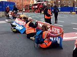 Fury as eco mob target M25 and busy roundabout near hipster enclave in London