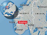 Several people killed as man goes on rampage with bow and arrow in Norwegian town 