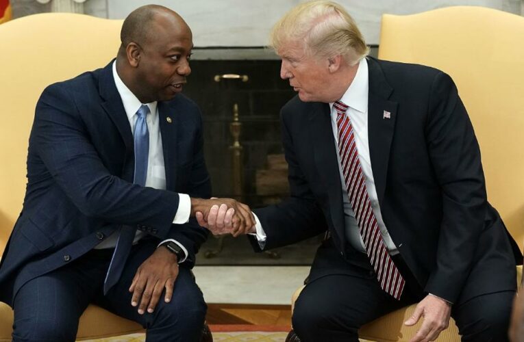 Analysis: Tim Scott confirms he’s on the Trump 2024 train