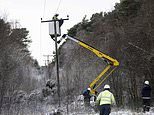 Nearly 20,000 homes spend FOURTH night without power after Storm Arwen damage