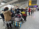 Omicron travel chaos: EasyJet sees a drop in winter bookings