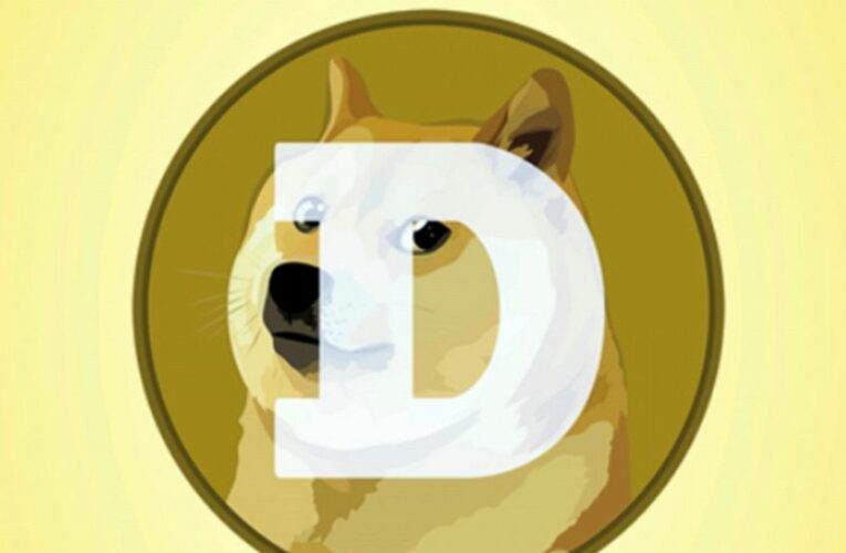 Shiba Inu passes Dogecoin as top “dog” in cryptocurrency