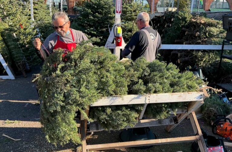 Christmas tree buyers face reduced supplies, higher prices