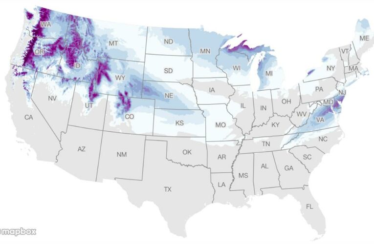 Snow forecast: See how much snow is expected in your area