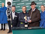 Royal blue! Zara Tindall attends New Year’s Day meeting at Cheltenham Racecourse 