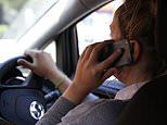 One motorist was convicted of driving while distracted NINE times in past four years