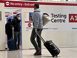 The END of testing nightmare for travellers? Ministers could scrap pre-flight Covid swabs