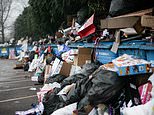 Recycling bins and bottle banks pile high amid council staff shortages 