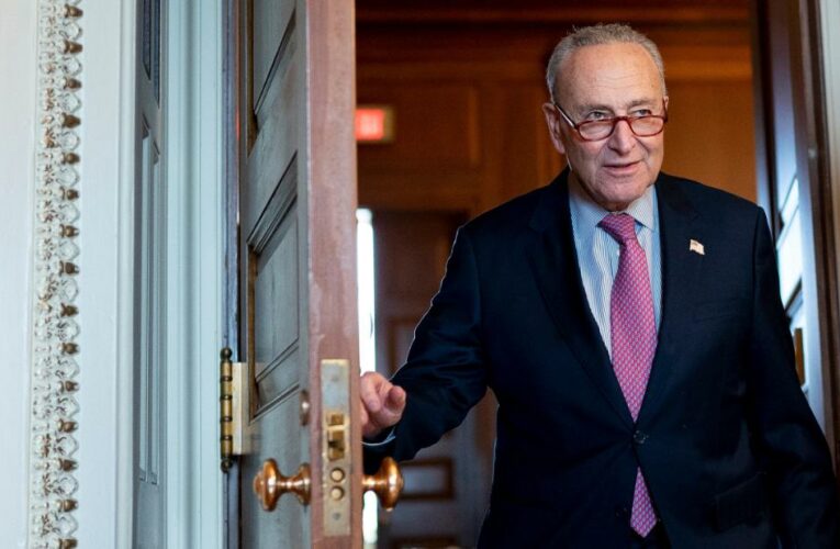 How Schumer explains his Senate dilemma