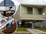 Only SIX of the homes Brad Pitt built for survivors of Hurricane Katrina are in livable condition