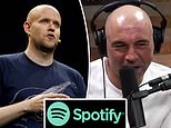 Spotify CEO defends Joe Rogan, calls him ‘vital’ to business as stock plunges