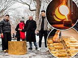 Cube made of pure gold worth $11.7million appears in Central Park and even has its own security team