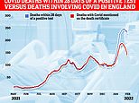 Statistics show huge disparity between ‘official’ fatalities and deaths where virus is to blame