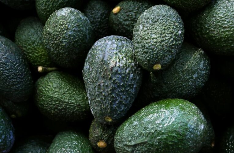 Mexico’s avocados face fallout from violence, deforestation