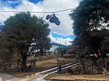 Queensland floods: Photo of a quad bike hanging from a power lines proves how high waters rose