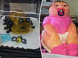 When professional cakes go horribly, hilariously wrong