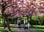 Park-goers enjoy blue skies and blossoms ahead of 64F bank holiday Saturday, before rain on Sunday