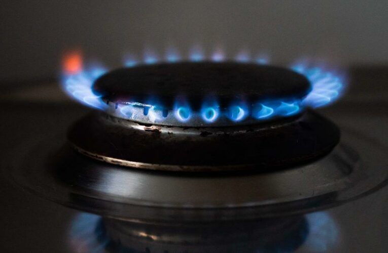 Natural gas: Russia could cut off deliveries to Denmark and the Netherlands