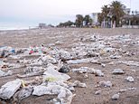 Dirty wet wipes that wash up on British beaches are still teaming with faecal bacteria, study finds